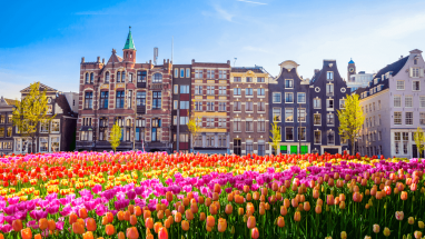 Hollanda, kiracıları yüksek fiyatlara karşı korumak için kira fiyatlarına sınırlama getiriyor